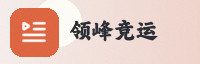 合作伙伴