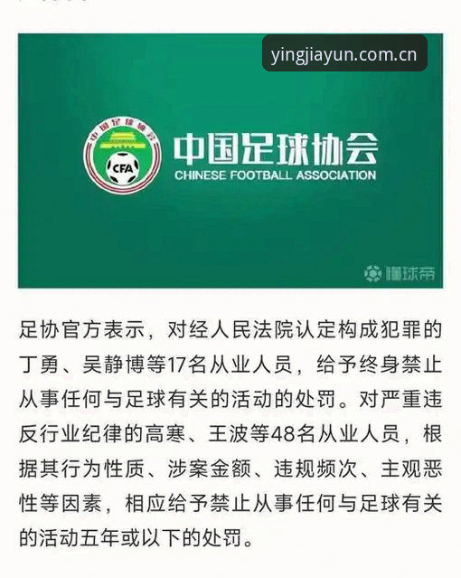 盈嘉体育安装 中国足协第三批禁足名单公布:3大分析揭示行业整顿背后的深层逻辑